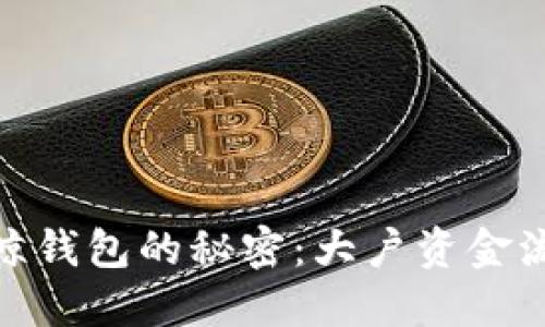 揭秘比特币巨鲸钱包的秘密:大户资金流向与市场影响