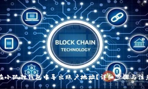 如何在小狐狸钱包中导出账户地址？详细步骤与注意事项