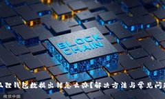 : 小狐狸钱包数据出错怎么