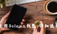 如何下载并使用Solana钱包