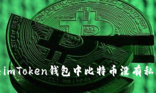 如何解决imToken钱包中比特币没有私钥的问题
