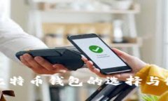 : 移动比特币钱包的选择与