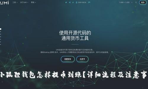 小狐狸钱包怎样提币到账?详细流程及注意事项