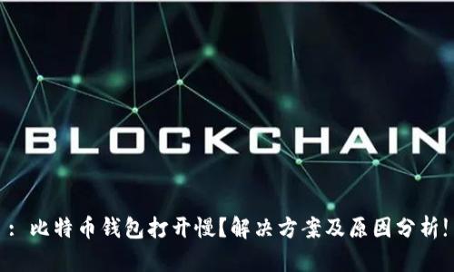 : 比特币钱包打开慢?解决方案及原因分析!