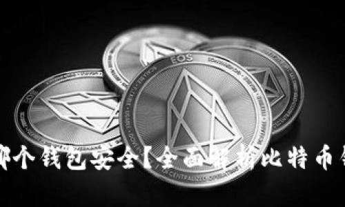 比特币存在哪个钱包安全?全面解析比特币钱包的安全性
