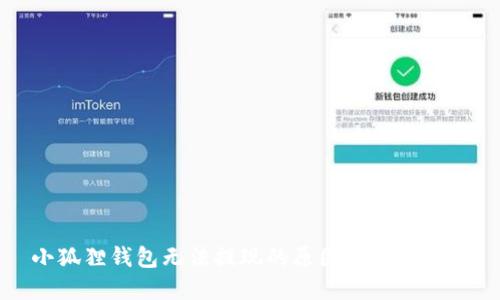 小狐狸钱包无法提现的原因及解决方案