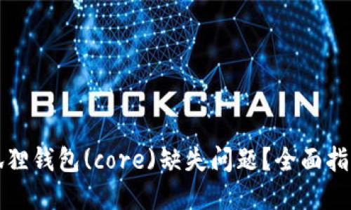 如何解决小狐狸钱包(core)缺失问题？全面指南与解决方案