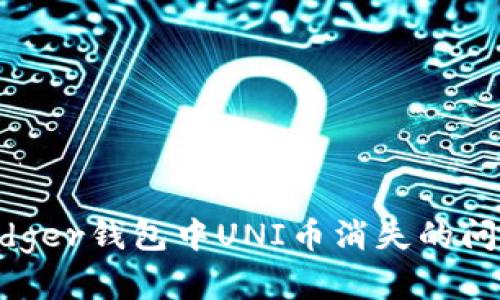 如何解决Ledger钱包中UNI币消失的问题：全面指南