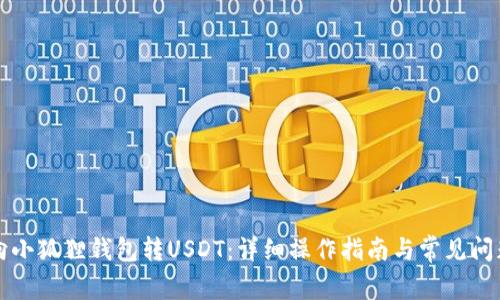 如何向小狐狸钱包转USDT:详细操作指南与常见问题解析