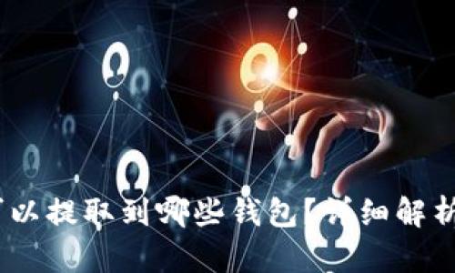 USDT可以提取到哪些钱包?详细解析与推荐