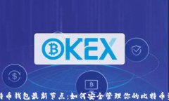 比特币钱包最新节点：如
