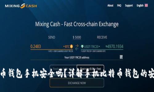 比特币钱包手机安全吗?详解手机比特币钱包的安全性