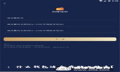 : 什么钱包适合存储比特币?