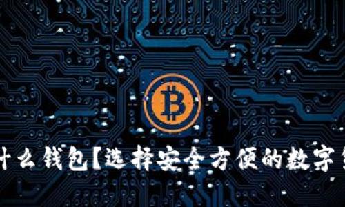 狗狗币下载什么钱包？选择安全方便的数字货币钱包指南