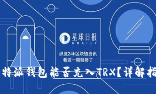 比特派钱包能否充入TRX?详解指南