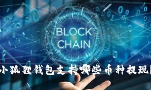小狐狸钱包支持哪些币种提现?