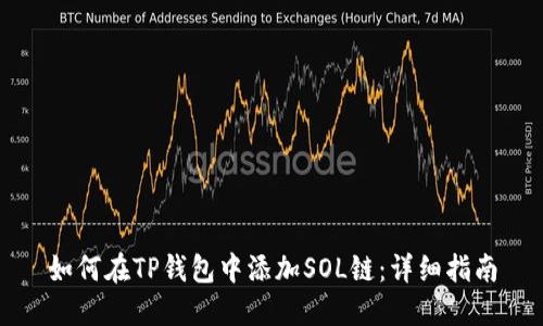 如何在TP钱包中添加SOL链:详细指南