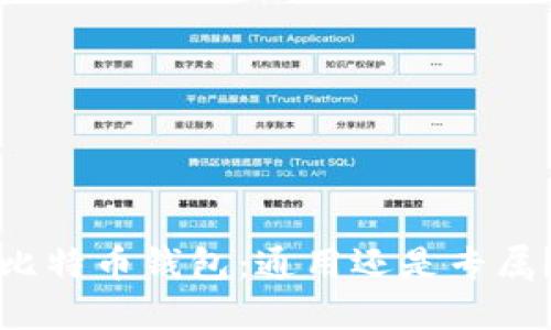 比特币钱包:通用还是专属?