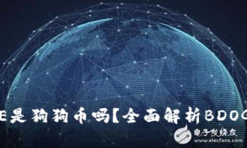 钱包里面的BDOGE是狗狗币吗？全面解析BDOGE与狗狗币的关系