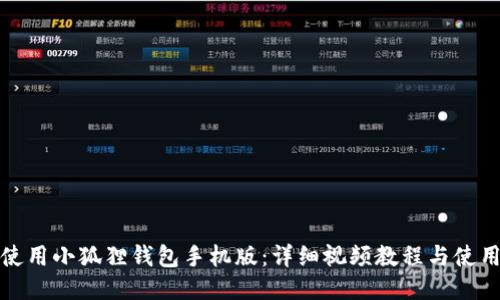 如何使用小狐狸钱包手机版：详细视频教程与使用技巧