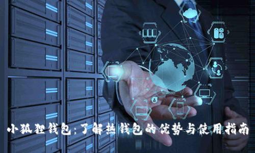 小狐狸钱包:了解热钱包的优势与使用指南