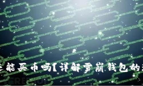 雪崩钱包还能买币吗？详解雪崩钱包的现状与未来