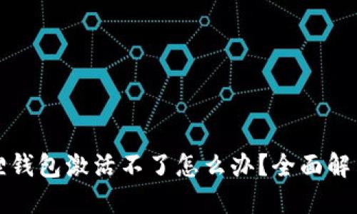 小狐狸钱包激活不了怎么办?全面解决指南