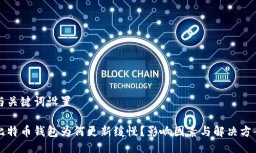 与关键词设置

比特币钱包为何更新缓慢？影响因素与解决方案