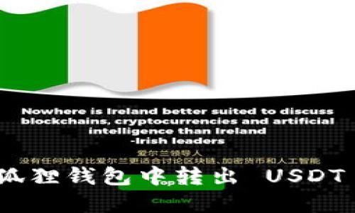 : 如何在小狐狸钱包中转出 USDT 的详细步骤