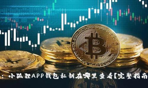 : 小狐狸APP钱包私钥在哪里查看?完整指南