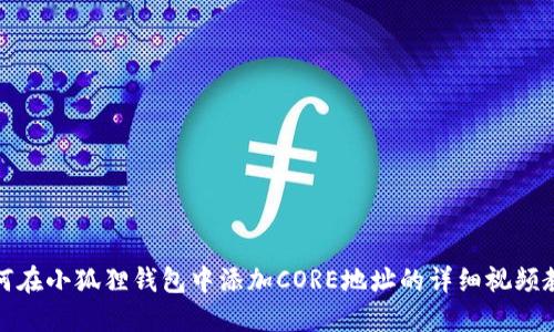 如何在小狐狸钱包中添加CORE地址的详细视频教程
