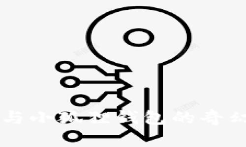 西坦与小狐狸钱包的奇幻旅程