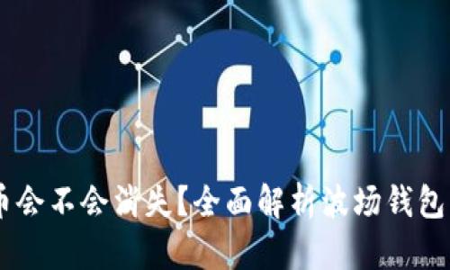 波场钱包的USDT币会不会消失？全面解析波场钱包的安全性与稳定性