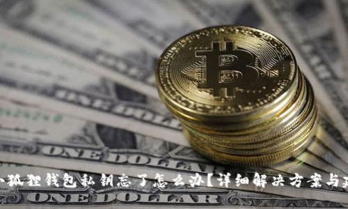 : 小狐狸钱包私钥忘了怎么办?详细解决方案与建议