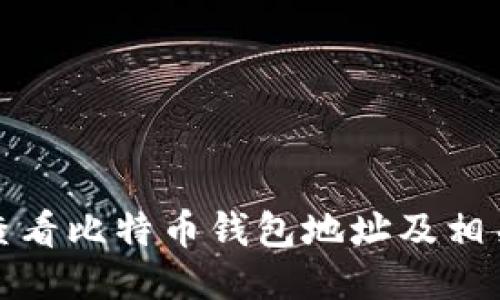 如何查看比特币钱包地址及相关信息