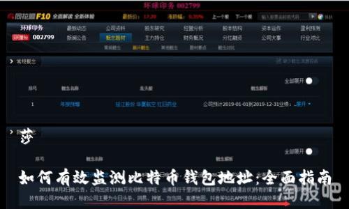 莎

如何有效监测比特币钱包地址：全面指南