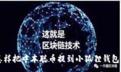 :怎样把中本聪币提到小狐