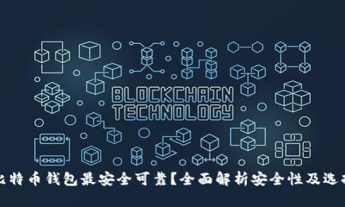 哪种比特币钱包最安全可靠?全面解析安全性及选择指南