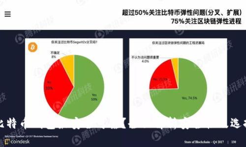 哪种比特币钱包最安全可靠?全面解析安全性及选择指南