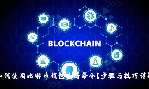 如何使用比特币钱包查看命令？步骤与技巧详解