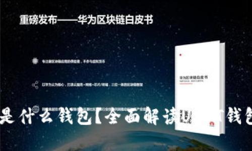 USDT使用的是什么钱包?全面解读USDT钱包种类与选择