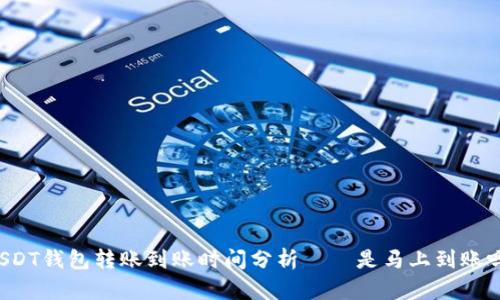USDT钱包转账到账时间分析——是马上到账吗?