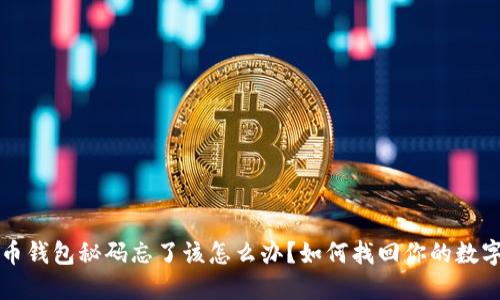 比特币钱包秘码忘了该怎么办？如何找回你的数字资产