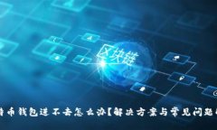 比特币钱包进不去怎么办