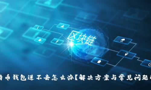 比特币钱包进不去怎么办？解决方案与常见问题解析