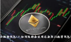 小狐狸钱包LV：如何选择和