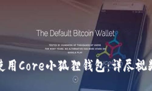 如何使用Core小狐狸钱包：详尽视频教程