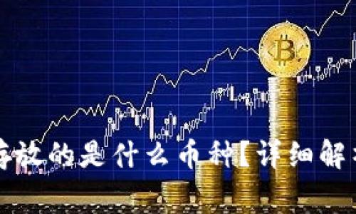 比特币钱包存放的是什么币种？详细解析与常见问题