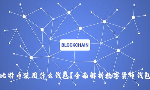 狗币和比特币使用什么钱包?全面解析数字货币钱包的选择