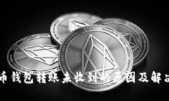 狗狗币钱包转账未收到的